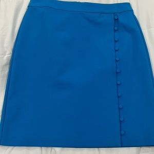 The Loft by Ann Taylor skirt